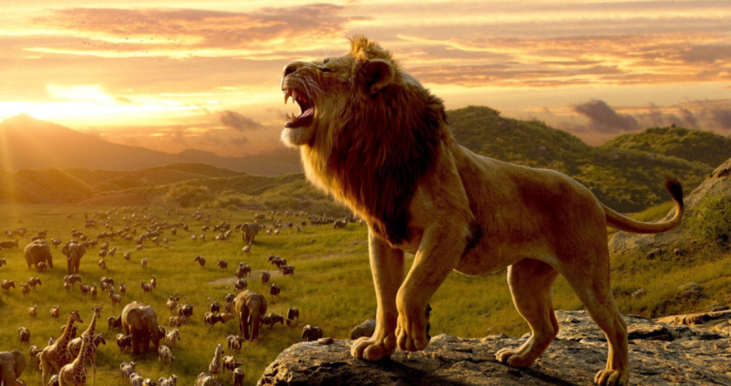 Top VFX companies
